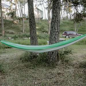 forest hammock activity