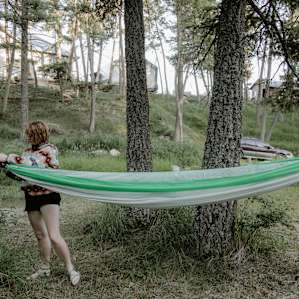 forest hammock activity
