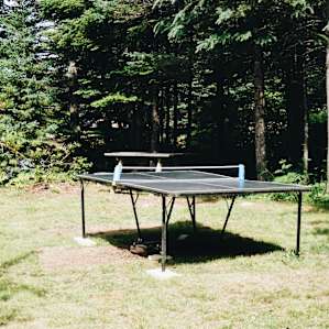 forest pingpong