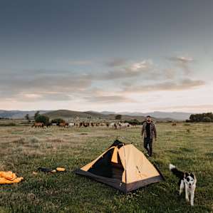 Setting up the tent with help from the resident pup. He was the sweetest dog and so friendly!