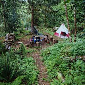 forest lodging teepee