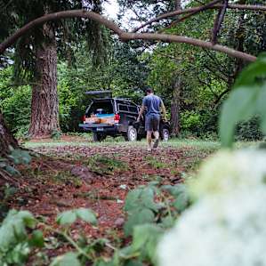 forest people van