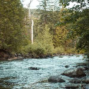 Looking upstream. There's a small section of rapids right in front of the site.