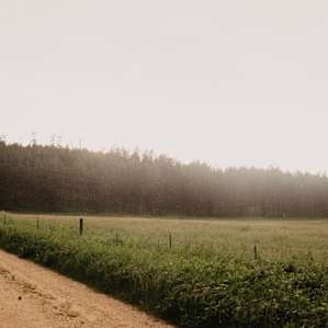 A view of the peaceful property.
