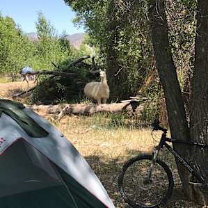 Tiredhouse campsites 567