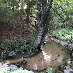 Doriath Springs