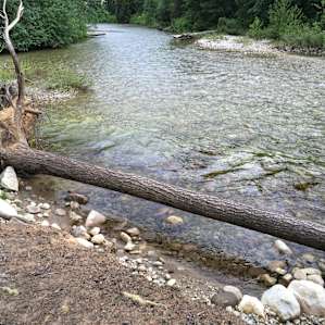 Creek is only about 75 yards from campground driveway.