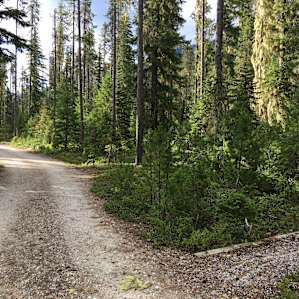 Campground exit.