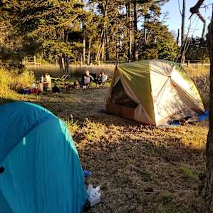 Forest, Farm Animals, and You