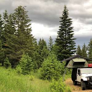 Beautiful, quiet wooded spot!