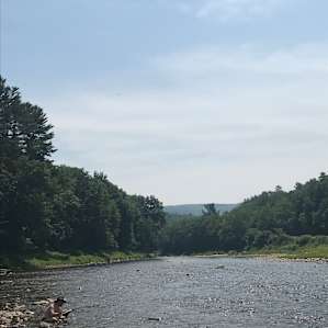 Great place to read and cool off