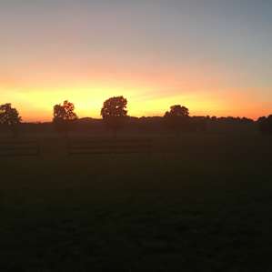 Ardounie Farm
