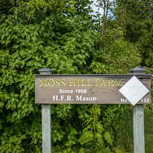 You'll know you're in the right place when you see this sign.