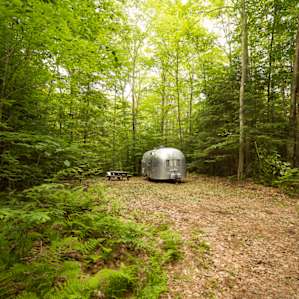 RV spot - a large clearing in the woods, just off a dirt road (you'll want to scout the road first if you have low clearance; it's rough in spots).