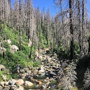 Yosemite's Adventure Camp