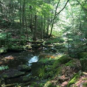 RV Camping at Moss Hill