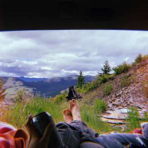 The Lookout
