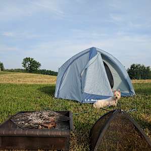 Our pup's first camping trip and he loved camping 🏕️.