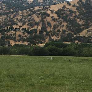 Pasture Cabin- Secluded