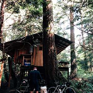 Cozy Tiny House in the Woods