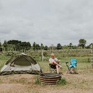 tent people vineyard