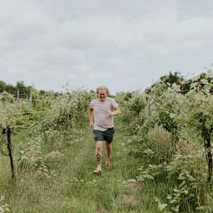 vineyard
