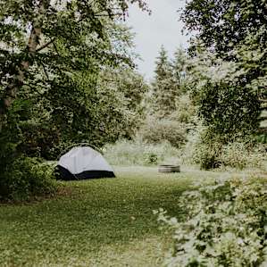 tent forest lodging