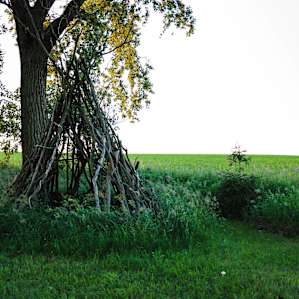 Tipi