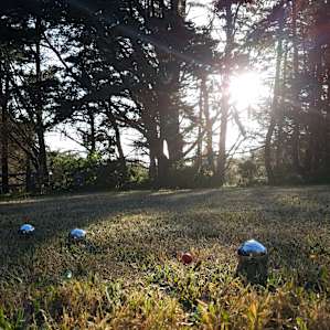 Petanque at sunset