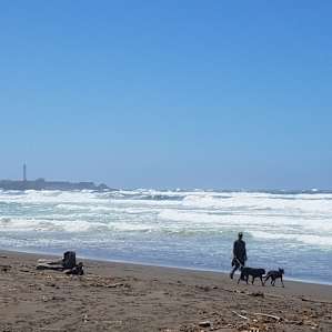 Beach, just north of Pt. Arena