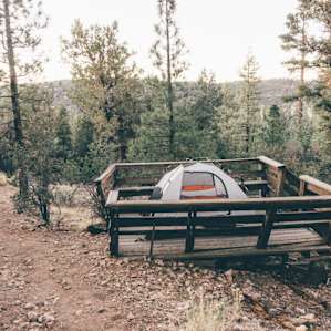 tent forest lodging