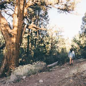 This is the trail you'll walk on getting to and from your car.