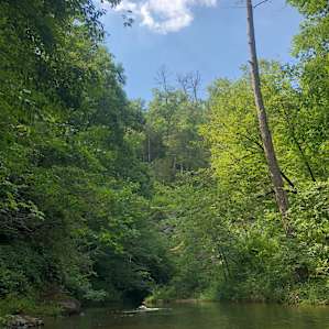 The swimming hole across the way.