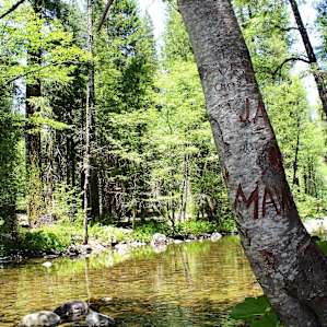 Your next campsite is right behind me when I took this picture.