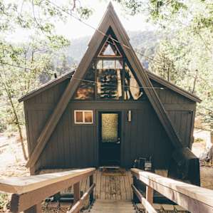 cabin forest lodging