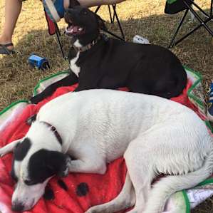 Best weekend of these guys’ lives!