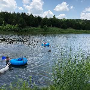 Lots of swimming fun!