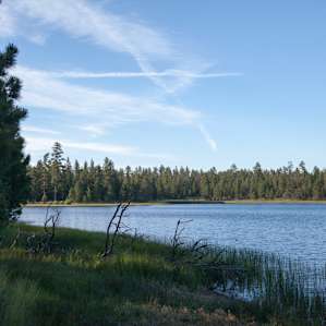 Delintment Lake Campground