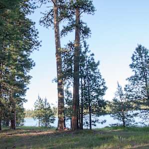 Delintment Lake Campground