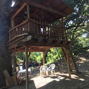 Forest Haven Treehouse