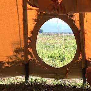 Morning gateway to the day