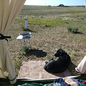 Mikel's sweet dog sharing the sunshine and expansive views with us.