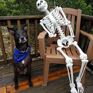 Dog friendly! Brute posing with Beth