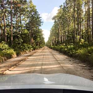 The dirt road on the way in / out of the place. It's well packed, and our camry was ok even after rain.