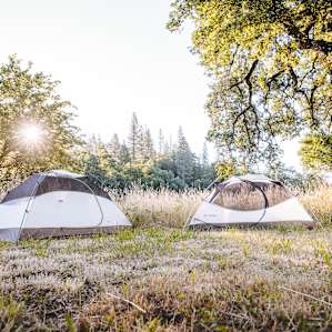 There were plenty of perfectly flat, secluded tent spaces to chose from in the garden