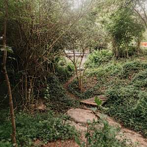 A look at a bit of the trail to the sites.