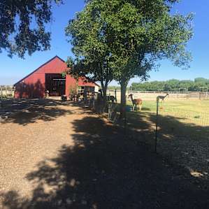 Sterling Creek Ranch