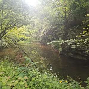 Camp at Parksland Retreat
