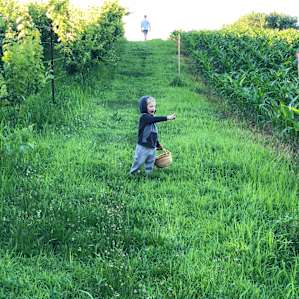 A stroll through the land provides some beautiful sights.