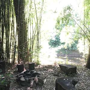 loved this place! great overall and enjoyed the firewood and firepit includes. the host was very helpful and Banshee Reeks Preserve nearby was very nice. Goose Creek being next to the site was very cool.